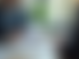 Understanding the Role of Professional Services