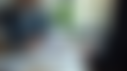 Understanding the Role of Professional Services