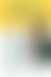 🚀 From Side Hustle to S-Corp: The Smart Way to Level Up in 2025 💼