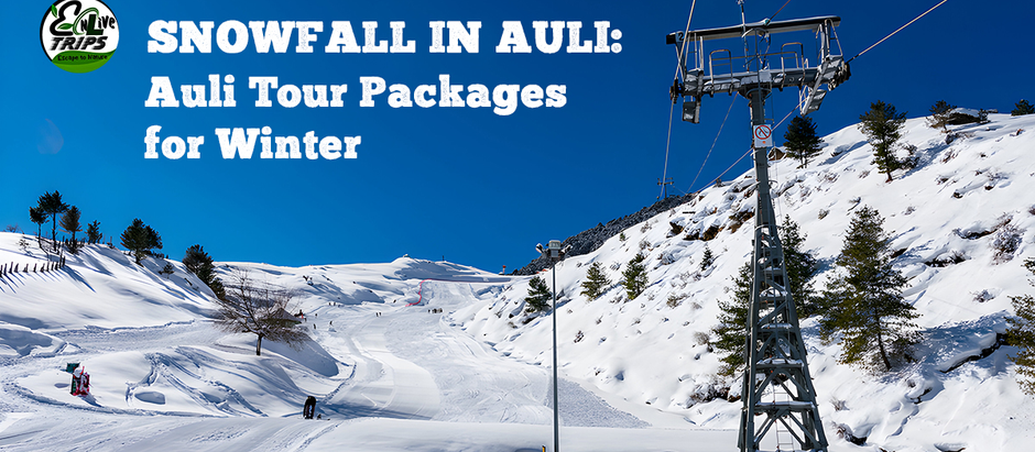 Winter Tour Packages in Delhi: Enjoy the Seasonal Charm