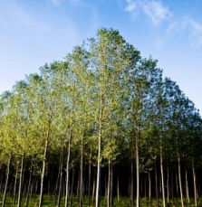 Financial Planners are hurting.