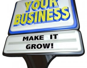 Four Ways to Grow a Business