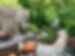 IMG_5585 3.jpeg