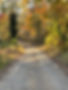 IMG_8074.jpeg