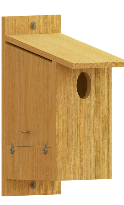 Image from american-kestrel-2, page 1.png