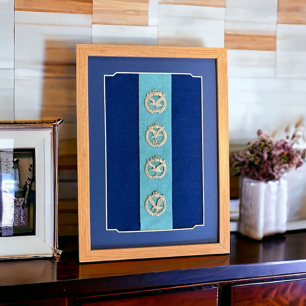 Army Air Corps badge collection gift keepsake