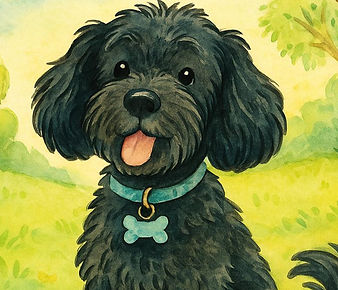 Kiwi the Cockerpoo could also be Kiwi the Cockapoo.