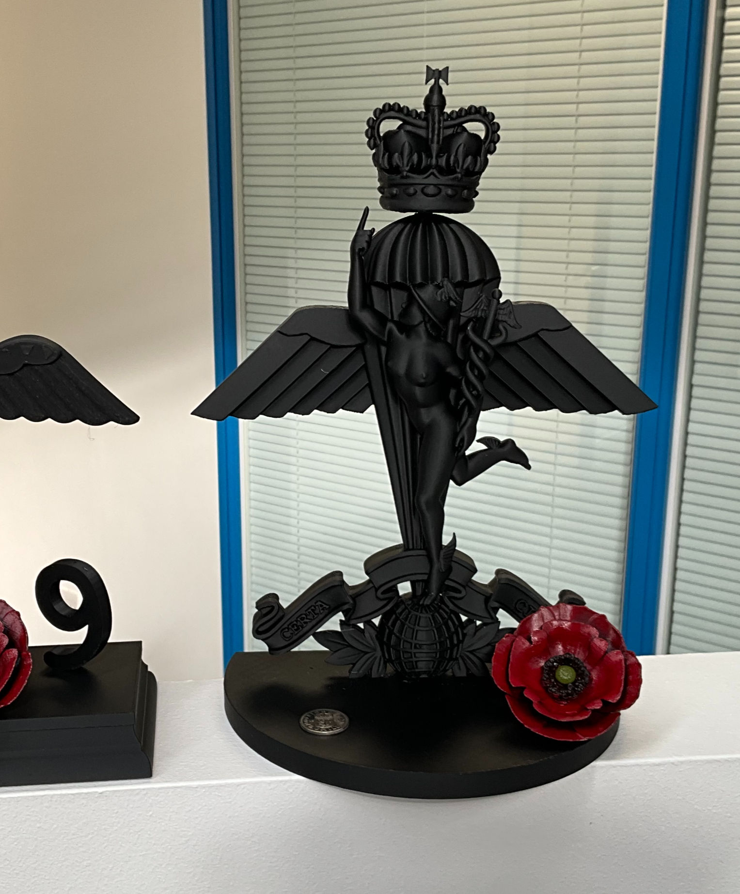 216 parachute signal squadron display with memorial poppy