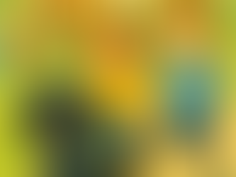 KIwi the Cockerpoo cheerfully walking along