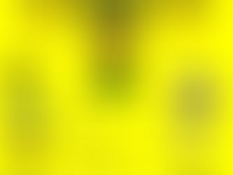 Punk Rock Bowling here we come!!