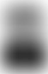 Punk Rock Night in Indy!