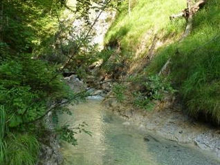 Gedanken zu Schultern und Nacken