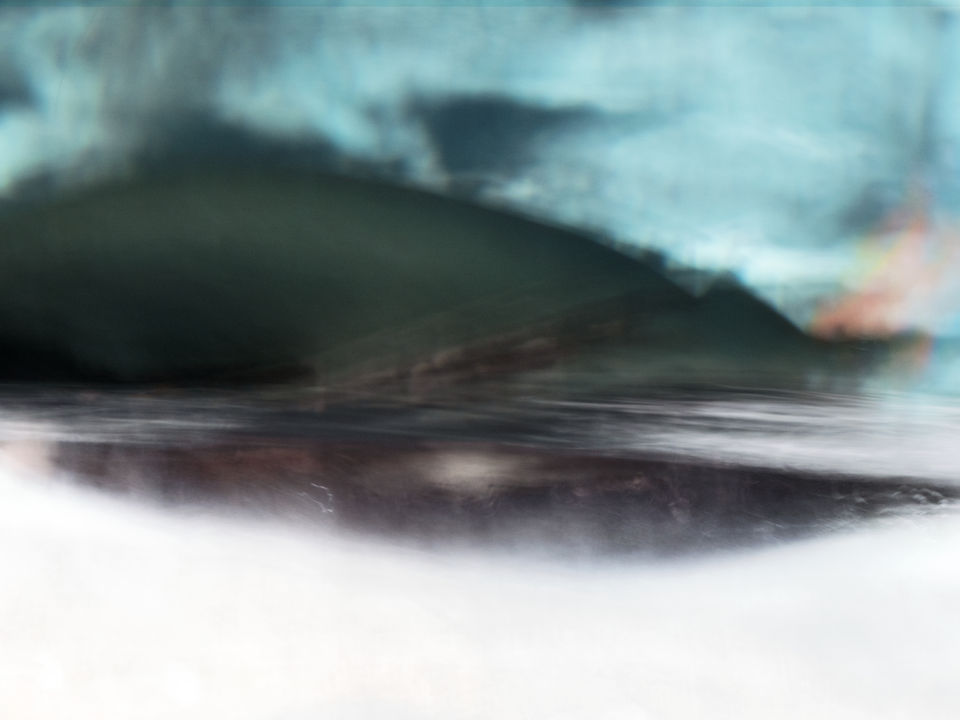 ballena varada