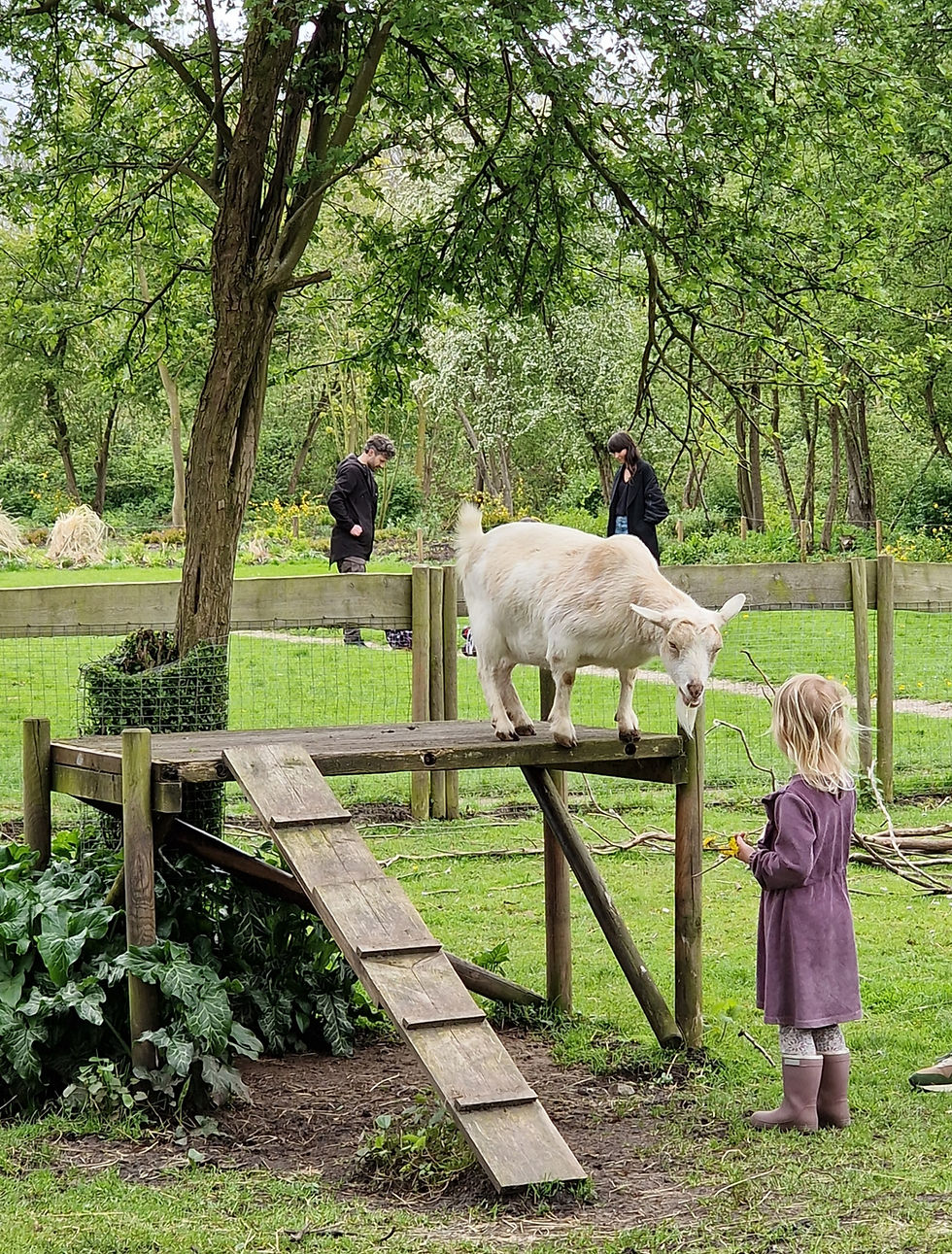 vlaardingen leefbaarheid 2.jpg