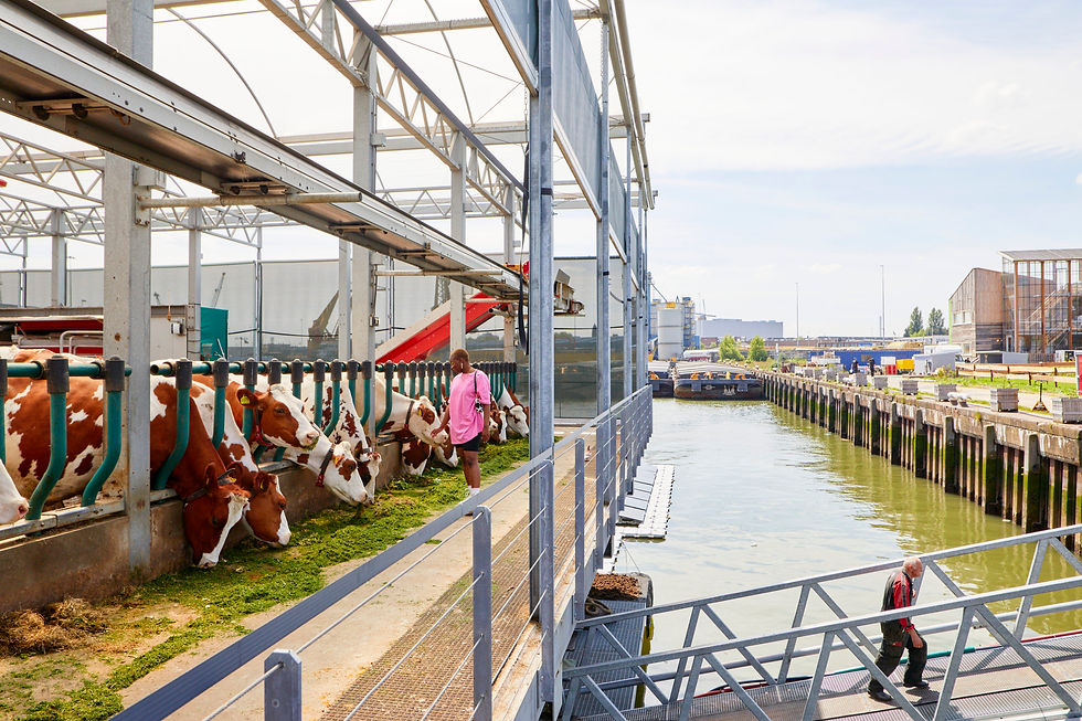 duurzaamheid floating farm.jpg