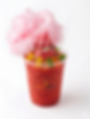 Gemini_Generated_Image_xgzx1fxgzx1fxgzx.png