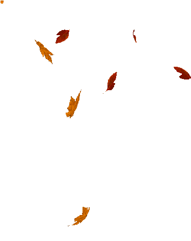 falling leaves.gif