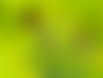 The Story of Imaginal Cells (And How You Might Be One)