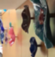 IMG_5177.jpeg