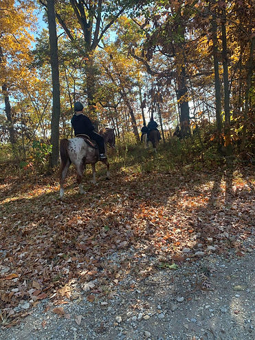 trail1.jpeg