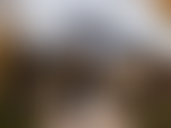 Brautpaar vor Orangerie des Schloss Lautenbach im Herbst