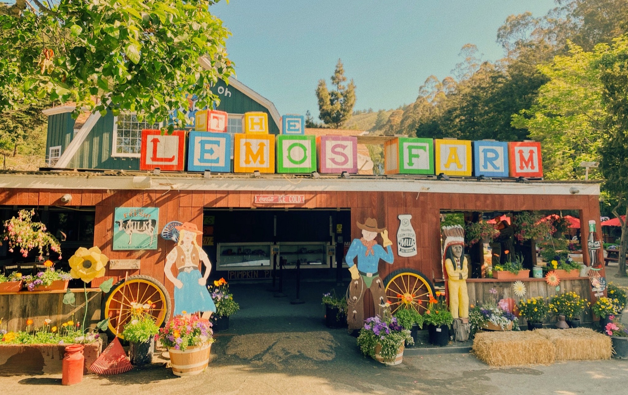 Lemos Farm Pumpkin Patch – Half Moon Bay