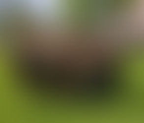 Erfolgreiche Landesmeisterschaften für das TRT Vorarlberg