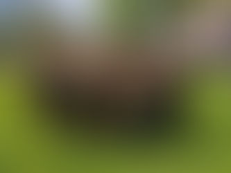 Erfolgreiche Landesmeisterschaften für das TRT Vorarlberg