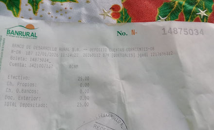 Ejemplo Boleta.jpg