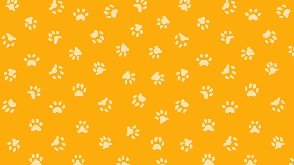 Tudo sobre o (8).png