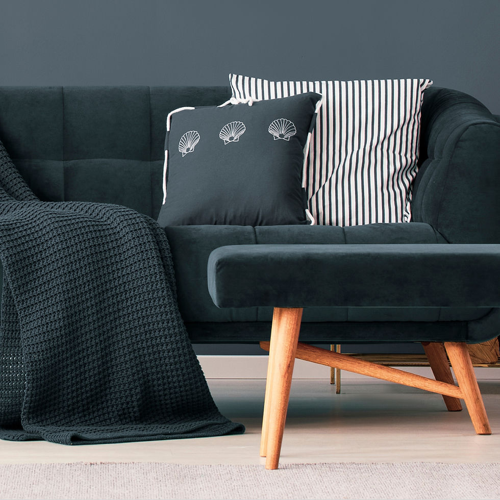 Dark Couch
