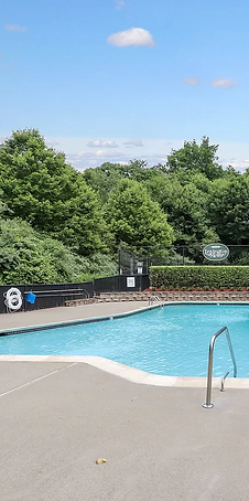 Swimming Pool.webp