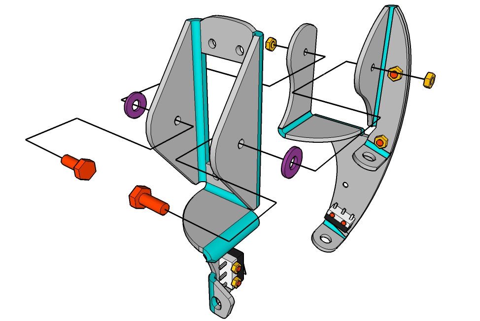 Montaje del esqueleto de la Tibia