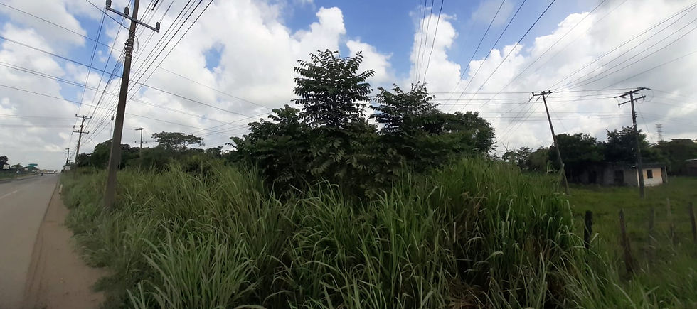 WhatsApp Image 2023-10-02 at 2.38.52 PM (1)