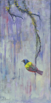 Mossy Perch Painted Bunting