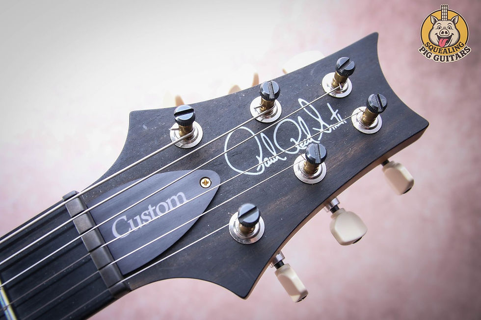 Thumbnail: PRS USA Paul Reed Smith Wood Library Custom 24 Satin "Trampas Green Fade + Ebony