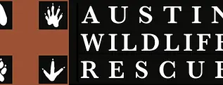 Austin Wildlife Rescue.webp