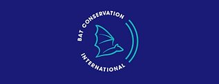bat-conservation-international-322886.jpg