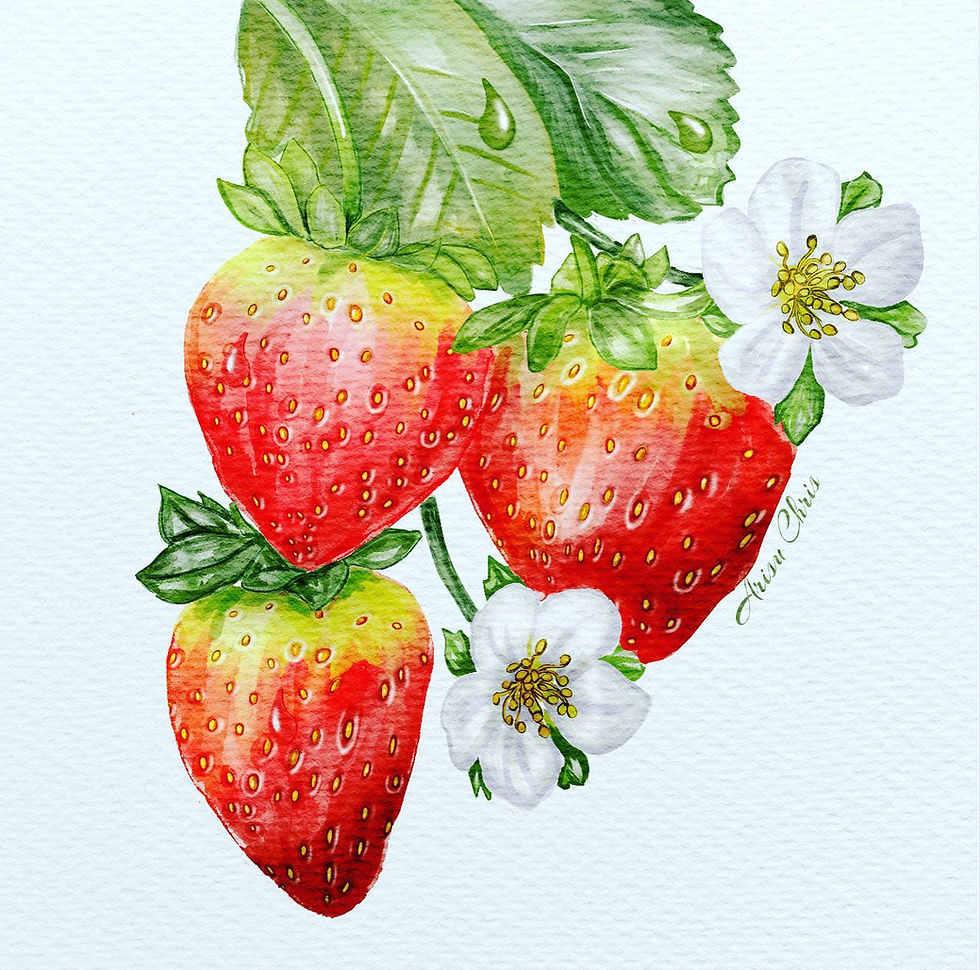 Strawberry drawing for digital sticker