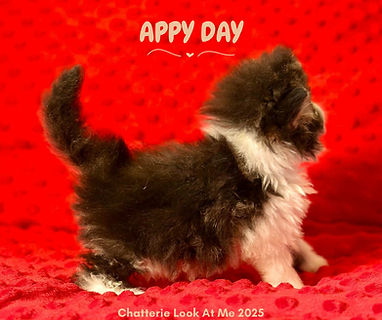 Appy Day 1 mois photo 2.jpg
