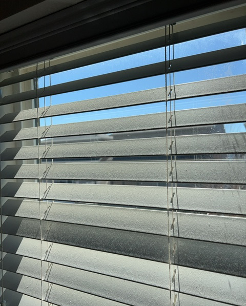 dirtyblinds_edited.jpg