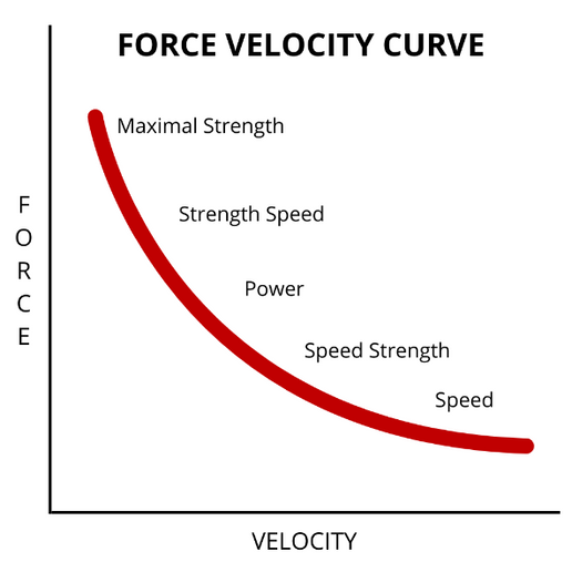 Unleashing Your Athletic Training: Force Velocity Curve (EconoFit: Opportunity Costs)