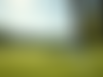 Simple Tips to Improve Your Golf Game Fast