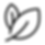 Image T28