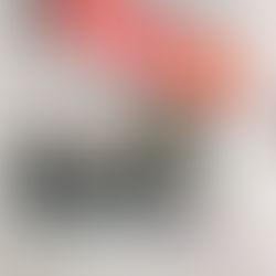 【イベント中止のお知らせ】2月29日のけん玉公演は中止となりました。