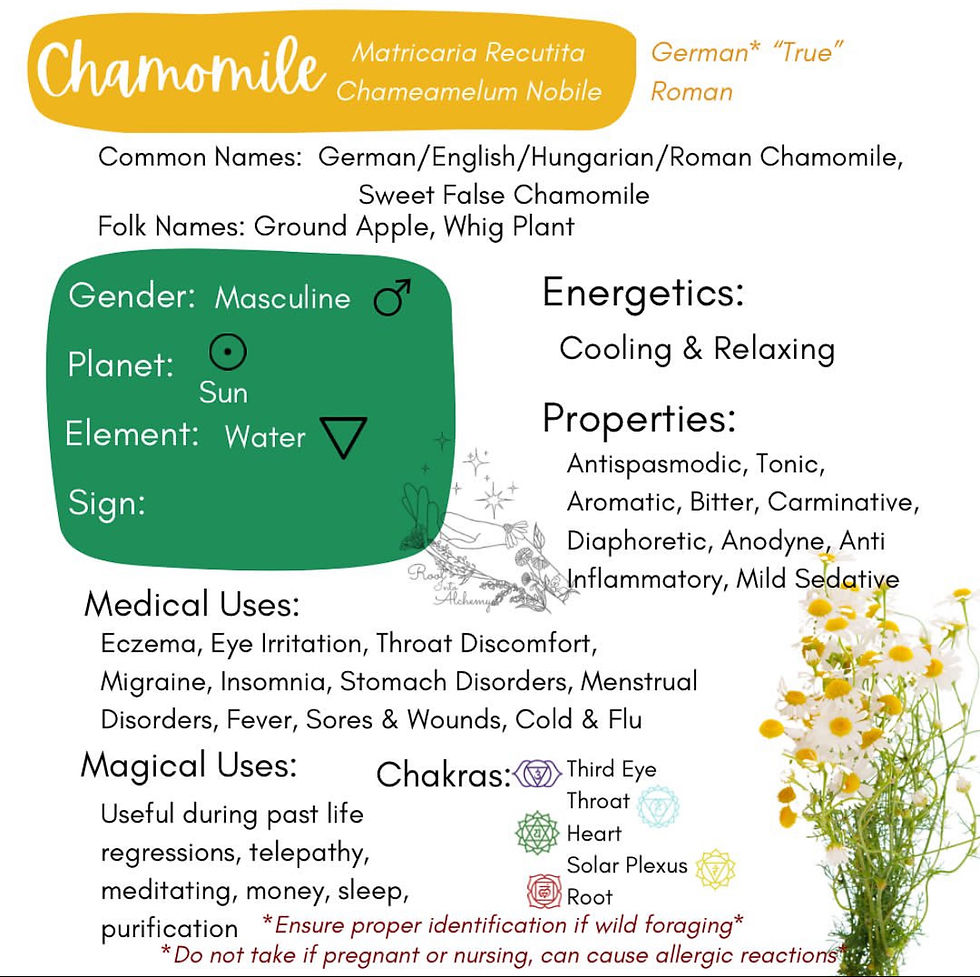 Chamomile