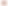 pink_rose_petals_19-03-12__08813.jpg