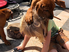 Jak zrobić z psa potwora?