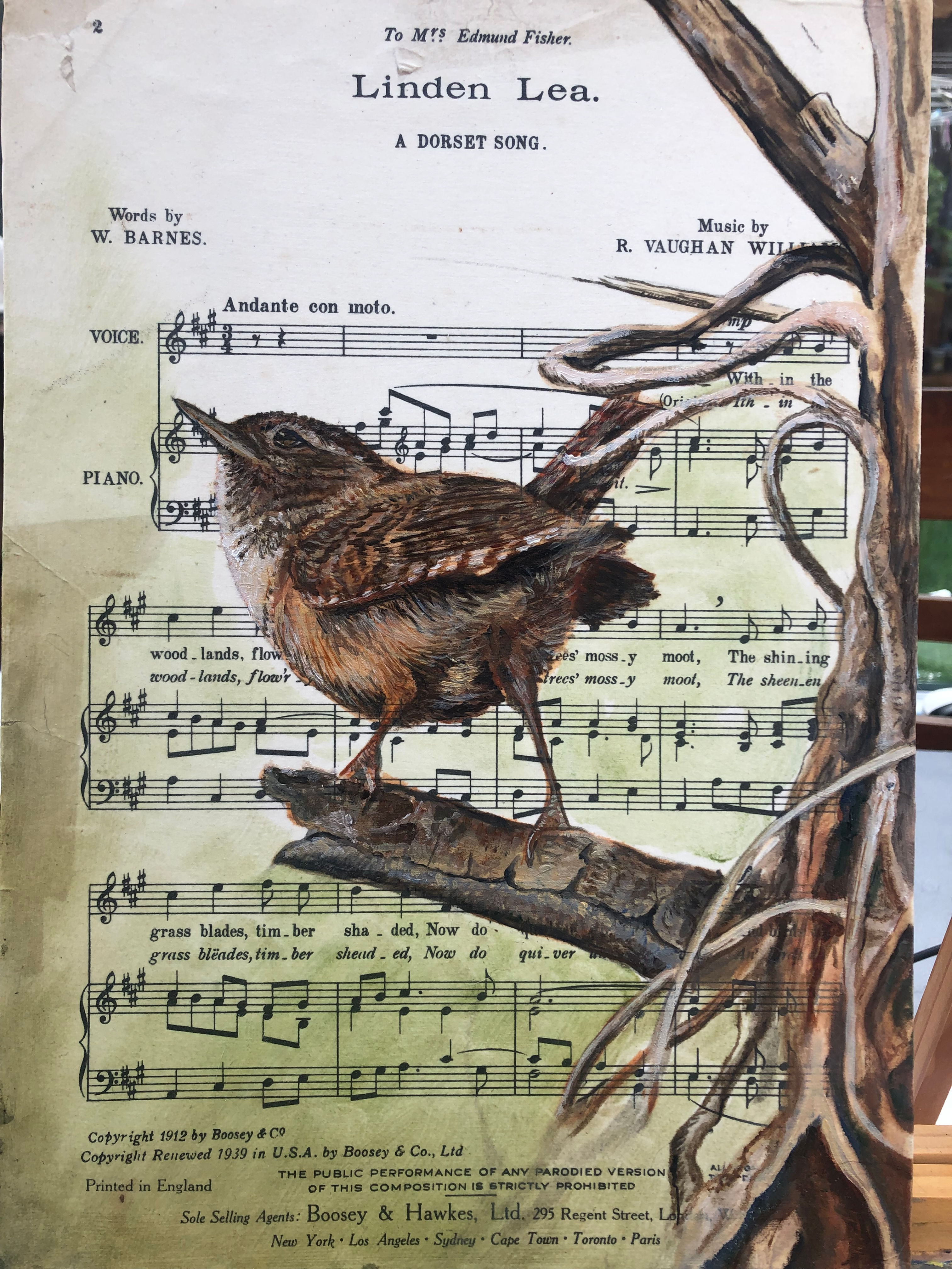 Linden Lea (Wren) - Card