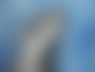 When life gets noisy can music really help us find some quiet?